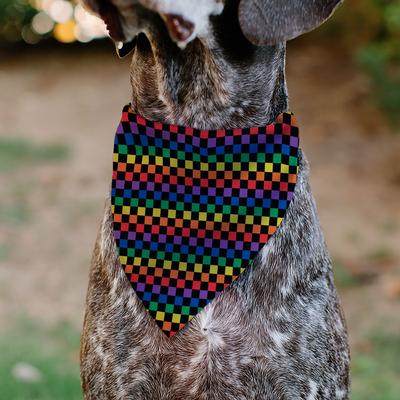 Show full view: Buckle-Down Checker Black Rainbow Slide-On Dog Bandana slide 5 of 6