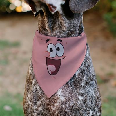 Show full view: Buckle-Down Patrick Star Smiling Face Close Up & Text Slide-On Dog Bandana slide 4 of 6