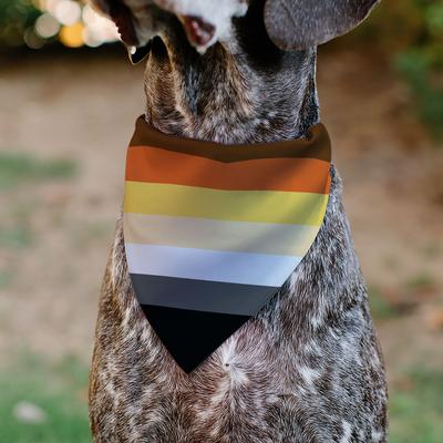 Show full view: Buckle-Down Bear Pride Flag Slide-On Dog Bandana, Yellow slide 5 of 6