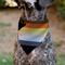 Show in main carousel: Buckle-Down Bear Pride Flag Slide-On Dog Bandana, Yellow slide 4 of 6