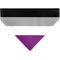 Show in main carousel: Buckle-Down Asexual Flag Slide-On Dog Bandana, Grey slide 2 of 6