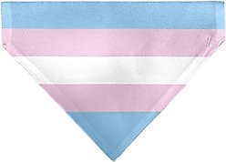 Buckle-Down Transgender Flag Slide-On Dog Bandana