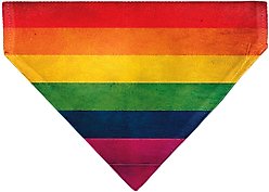 Buckle-Down Pride Distressed Rainbow Flag Slide-On Dog Bandana