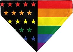 Buckle-Down American Pride Rainbow Flag Slide-On Dog Bandana