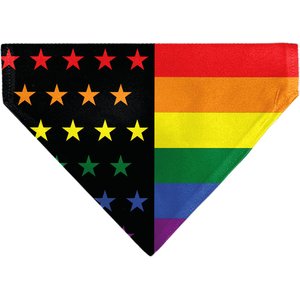 Buckle-Down American Pride Rainbow Flag Slide-On Dog Bandana