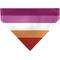 Show in main carousel: Buckle-Down Lesbian Five Stripe Flag Slide-On Dog Bandana slide 1 of 6