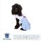 Show in main carousel: Hip Doggie Blue Gingham Dog Dress, Multi, X-Small slide 2 of 7