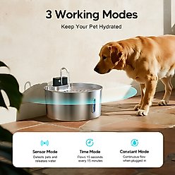 Voluas Indoor Wireless Battery Operated Automatic Stainless Steel Dispenser Dog Water Fountain with Ultra-Quiet Pump, Silver, 7-L slide 2 of 8