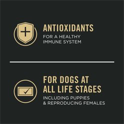 Purina Pro Plan Sport All Life Stages High-Protein Active 26/16 Formula Dry Dog Food, 37.5-lb bag slide 2 of 9