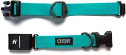 Stunt Puppy Series 3 & 3+ Fi-Ready Polyurethane Dry Dog Collar, Teal, Small: 10.75 to 12.5-in neck, 3/4-inch wide