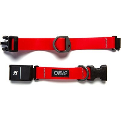 Stunt Puppy Stunt Puppy Series 3 & 3+ Fi-Ready Polyurethane Dry Dog Collar, Red, Large: 15.5 to 20.5-in neck, 1-inch wide