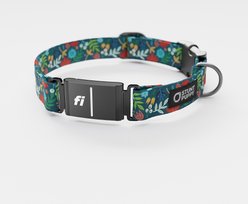 Stunt Puppy Frolic Series 3 & 3+ Fi-Ready Polyester Dog Collar, Fall, Medium: 12.5 to 15.5-in neck, 1-inch wide