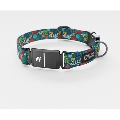 Stunt Puppy Stunt Puppy Frolic Series 3 & 3+ Fi-Ready Polyester Dog Collar, Fall, Small: 10.75 to 12.5-in neck, 3/4-inch wide
