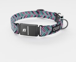 Stunt Puppy Fishtail Teal Series 3 & 3+ Fi-Ready Polyester Dog Collar, Large: 15.5 to 20.5-in neck, 1-inch wide