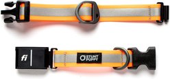 Stunt Puppy Series 3 & 3+ Fi-Ready Dry Polyurethane Reflective Dog Collar, Orange, Small: 10.75 to 12.5-in neck, 3/4-inch wide