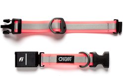 Stunt Puppy Series 3 & 3+ Fi-Ready Dry Polyurethane Reflective Dog Collar, Pink, Medium: 12.5 to 15.5-in neck, 1-inch wide