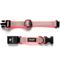 Show in main carousel: Stunt Puppy Series 3 & 3+ Fi-Ready Dry Polyurethane Reflective Dog Collar, Pink, Small: 10.75 to 12.5-in neck, 3/4-inch wide slide 1 of 1