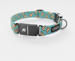 Stunt Puppy Jill Kittock Pizza Series 3 & 3+ Fi-Ready Polyester Dog Collar, X-Large: 19.5 to 30-in neck, 1-inch wide