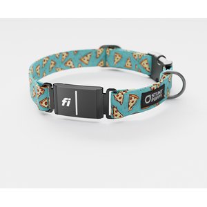 ANGEL Amsterdam Multi-line Spiked Standard Dog Collar, Black