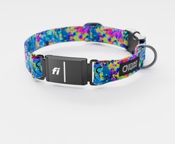 Stunt Puppy Jammin Sea Visions Series 3 & 3+ Fi-Ready Polyester Dog Collar, Medium: 12.5 to 15.5-in neck, 1-inch wide