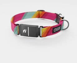 Stunt Puppy All Are Welcome Here Series 3 & 3+ Fi-Ready Polyester Dog Collar, Small: 10.75 to 12.5-in neck, 3/4-inch wide