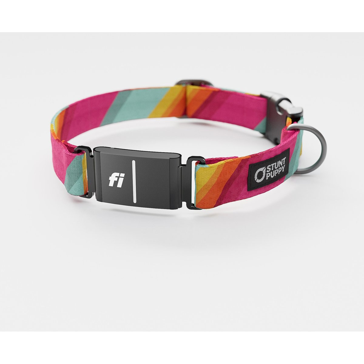 Stunt Puppy All Are Welcome Here Series 3 & 3+ Fi-Ready Polyester Dog Collar, X-Large: 19.5 to 30-in neck, 1-inch wide
