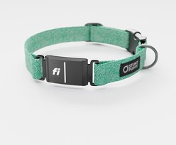 Stunt Puppy Petri Jade Series 3 & 3+ Fi-Ready Polyester Dog Collar, X-Large: 19.5 to 30-in neck, 1-inch wide