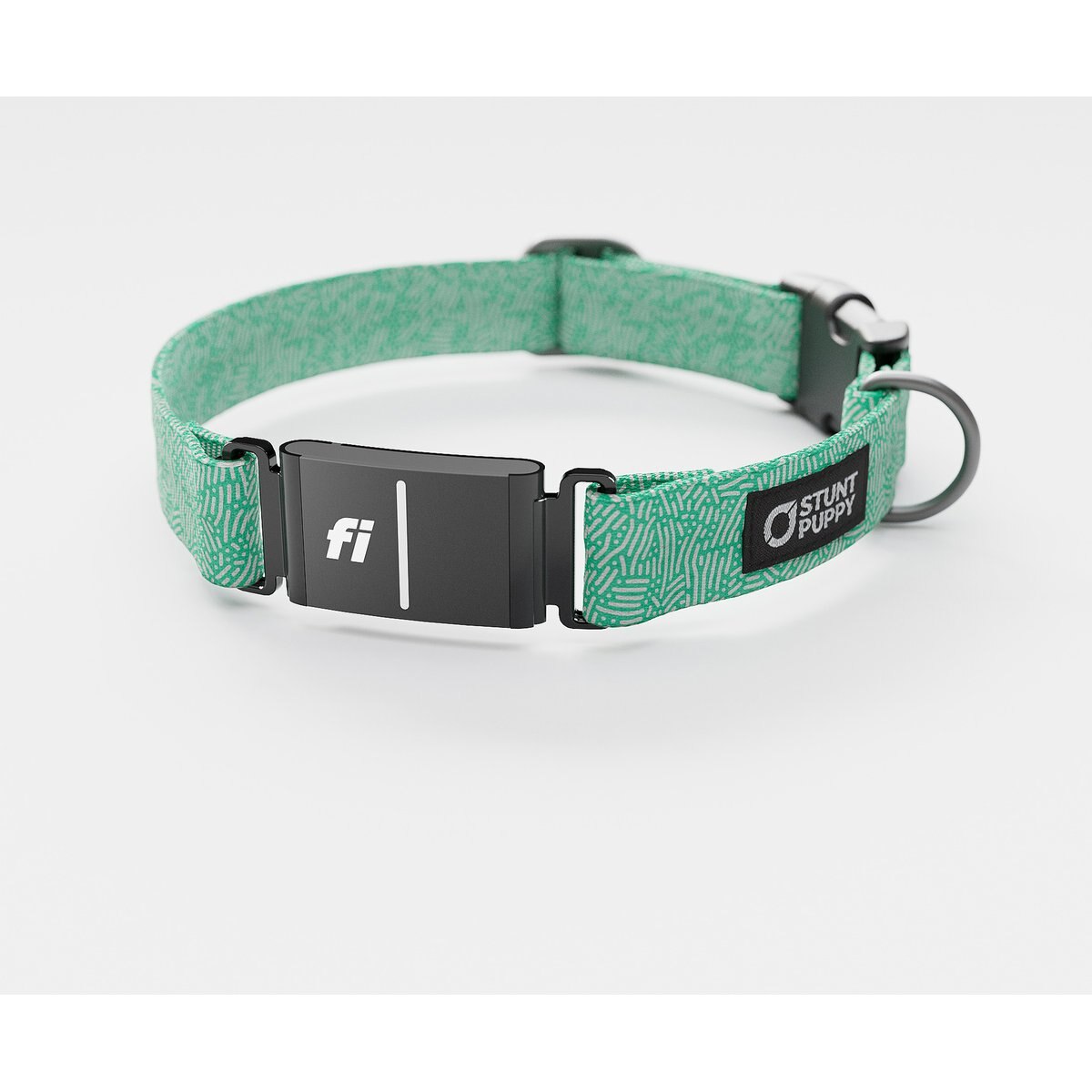 Stunt Puppy Petri Jade Series 3 & 3+ Fi-Ready Polyester Dog Collar, X-Large: 19.5 to 30-in neck, 1-inch wide