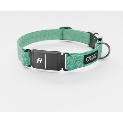 Stunt Puppy Stunt Puppy Petri Jade Series 3 & 3+ Fi-Ready Polyester Dog Collar, X-Large: 19.5 to 30-in neck, 1-inch wide