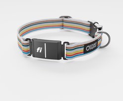 Stunt Puppy Track Series 3 & 3+ Fi-Ready Polyester Dog Collar, X-Large: 19.5 to 30-in neck, 1-inch wide