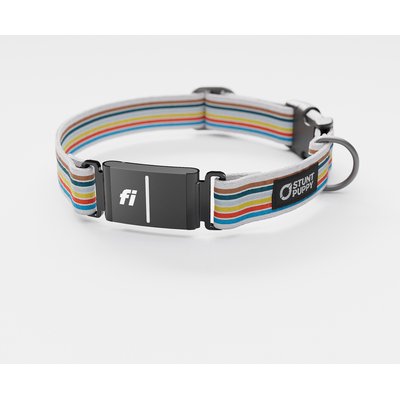 Stunt Puppy Stunt Puppy Track Series 3 & 3+ Fi-Ready Polyester Dog Collar, Medium: 12.5 to 15.5-in neck, 1-inch wide
