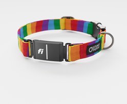 Stunt Puppy Rainbow Series 3 & 3+ Fi-Ready Polyester Dog Collar, Small: 10.75 to 12.5-in neck, 3/4-inch wide