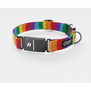 ANGEL Amsterdam Multi-line Spiked Standard Dog Collar, Black