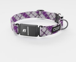 Stunt Puppy Lumberpup Smoke Series 3 & 3+ Fi-Ready Polyester Dog Collar, Small: 10.75 to 12.5-in neck, 3/4-inch wide