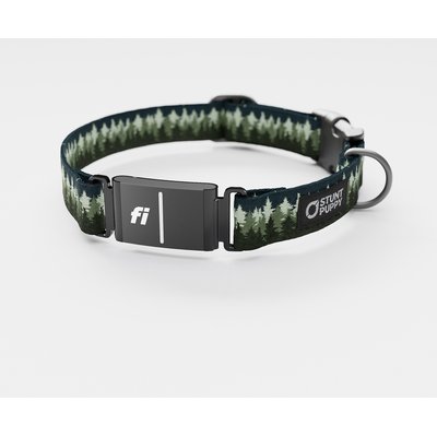 Stunt Puppy Stunt Puppy Pines Series 3 & 3+ Fi-Ready Polyester Dog Collar, Green, Small: 10.75 to 12.5-in neck, 3/4-inch wide