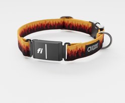 Stunt Puppy Pines Series 3 & 3+ Fi-Ready Polyester Dog Collar, Orange, Medium: 12.5 to 15.5-in neck, 1-inch wide
