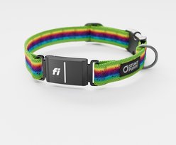 Stunt Puppy Ribbon Skirt Series 3 & 3+ Fi-Ready Polyester Dog Collar, Large: 15.5 to 20.5-in neck, 1-inch wide