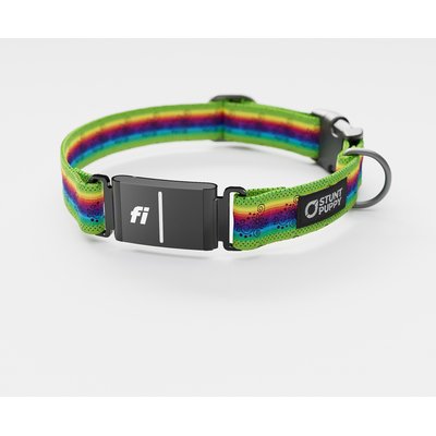 Stunt Puppy Stunt Puppy Ribbon Skirt Series 3 & 3+ Fi-Ready Polyester Dog Collar, Large: 15.5 to 20.5-in neck, 1-inch wide