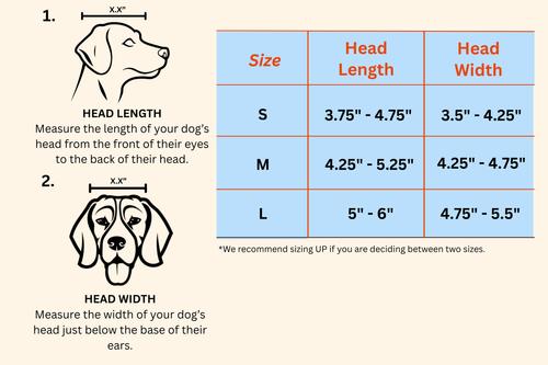 Show full view: POSE PETS Solid Dog Sunglasses, Fantasy Green, Medium slide 7 of 8