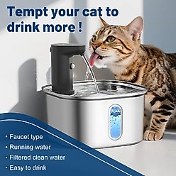 Petlipo Wireless Rechargeable Stainless Steel Cat Water Fountain, Silver, 108-oz slide 2 of 8