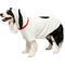 Show in main carousel: Peanuts Snoopy Classic Face Hoodie Dog Costume, X-Large slide 1 of 4
