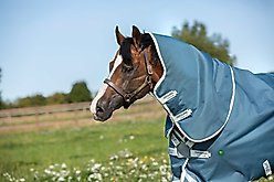 Horseware Ireland AmEco 1200D Plus 0g Horse Turnout, Teal / Grey, 78 inches slide 2 of 3