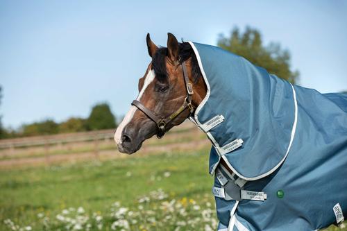 Show full view: Horseware Ireland AmEco 1200D Plus 100g Horse Turnout, Teal / Grey, 81 inches slide 3 of 3