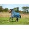 Show in main carousel: Horseware Ireland AmEco 1200D Plus 100g Horse Turnout, Teal / Grey, 81 inches slide 2 of 3