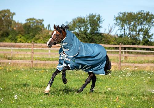 Show full view: Horseware Ireland AmEco 1200D Plus 100g Horse Turnout, Teal / Grey, 81 inches slide 2 of 3