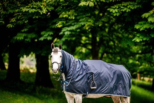 Show full view: Horseware Ireland Horseware Newmarket Horse Rain Sheet, Navy, X Large slide 2 of 5