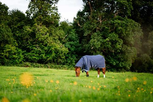 Show full view: Horseware Ireland Rhino Plus 250g Vari-Layer Horse Turnout, Navy / Titanium Grey / Classic Blue, 75 inches slide 6 of 7