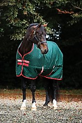 Horseware Ireland Rambo 1000D 400g Horse Turnout, Green / Red, 81 inches