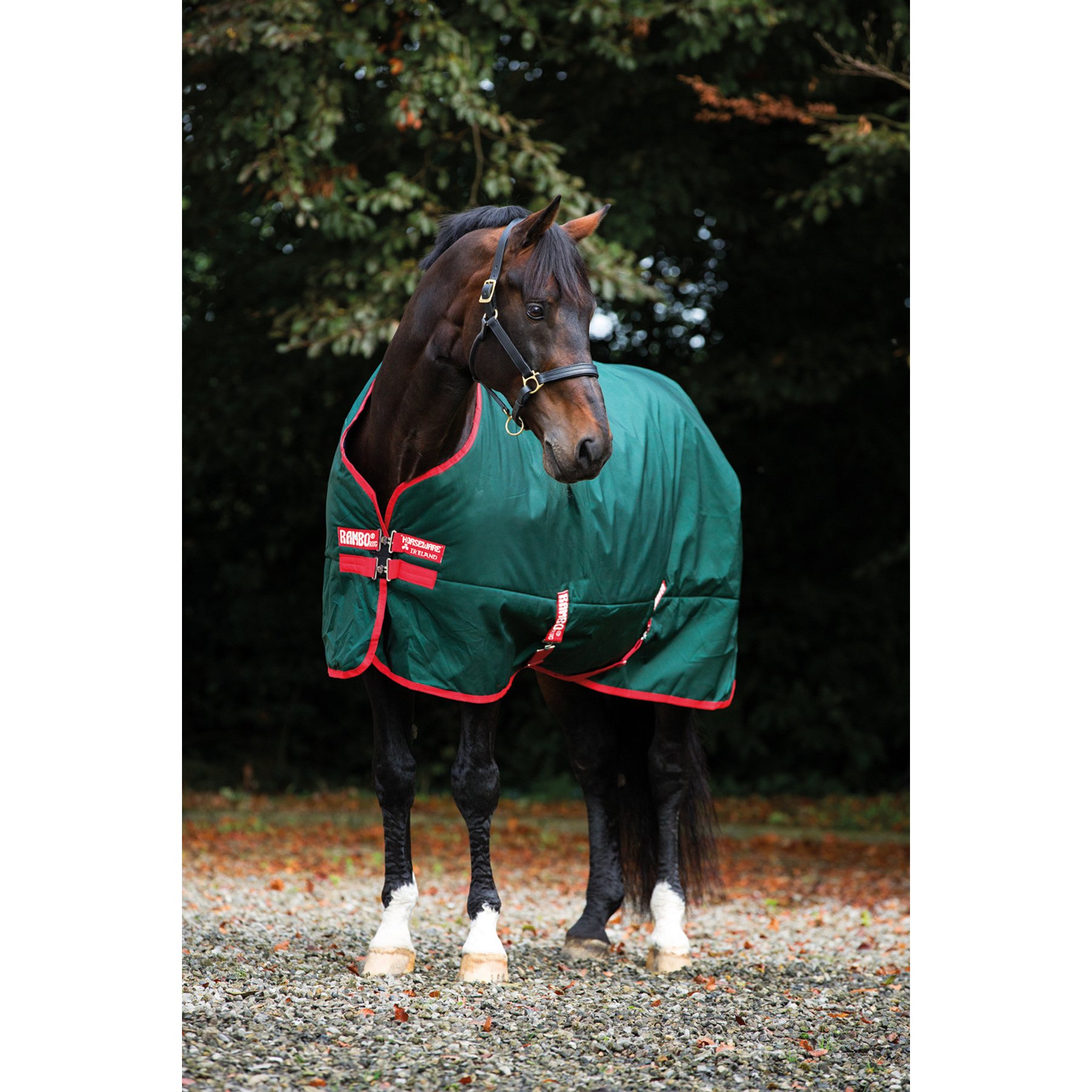 Horseware Rambo 1000D 400g Horse Turnout, Green / Red, 66 inches