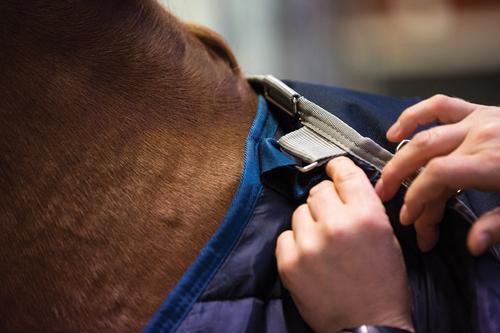 Show full view: Horseware Ireland Horseware 300g Horse Liner, Navy, 69 inches slide 2 of 2